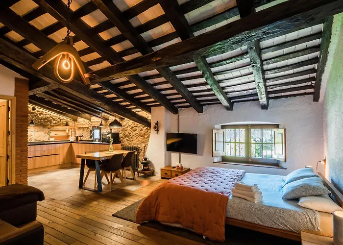 Masia De Can Ferrer